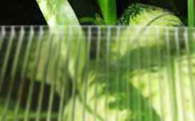 Lighting and high toughness PE hollow sheet